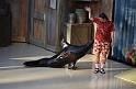 Kids_SeaWorldSA-2013 (312)